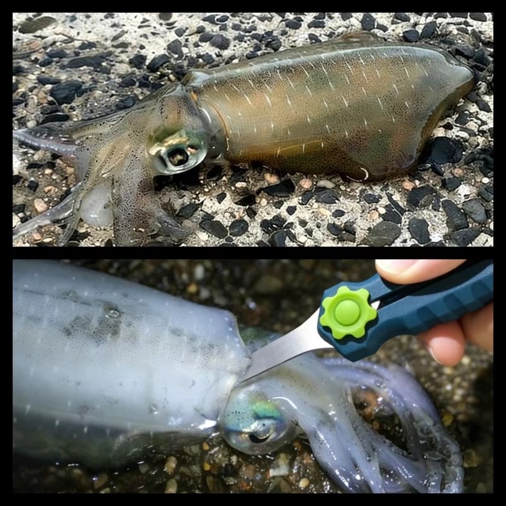 Ciseaux de pêche en acier inox - Fishing Line Cutter avis et prix